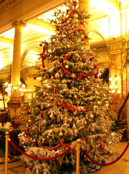 200512ホテルのクリスマスツリー＠ベルギー.jpg