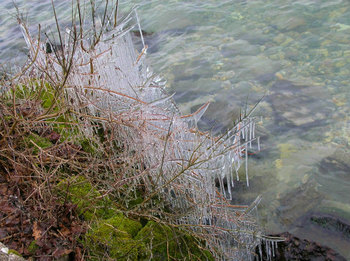 20090104湖畔のしぶき氷.jpg