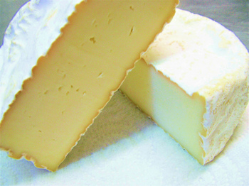 Brebis Corsica 20101020コルシカチーズ半割り.jpg